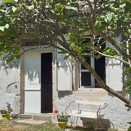 Tourniac Chez Mialaret Bed & Breakfast エクステリア 写真