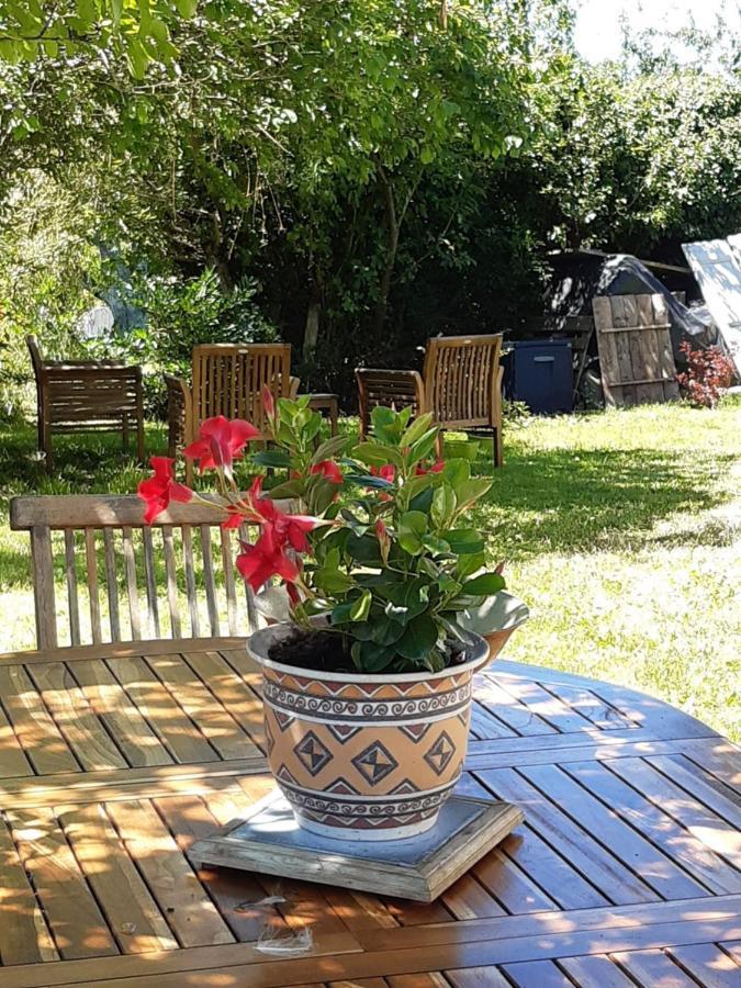 Tourniac Chez Mialaret Bed & Breakfast エクステリア 写真